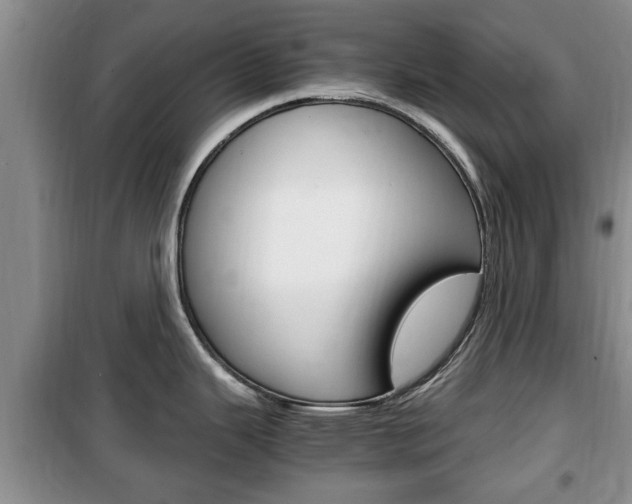 X0000100351343200806060751