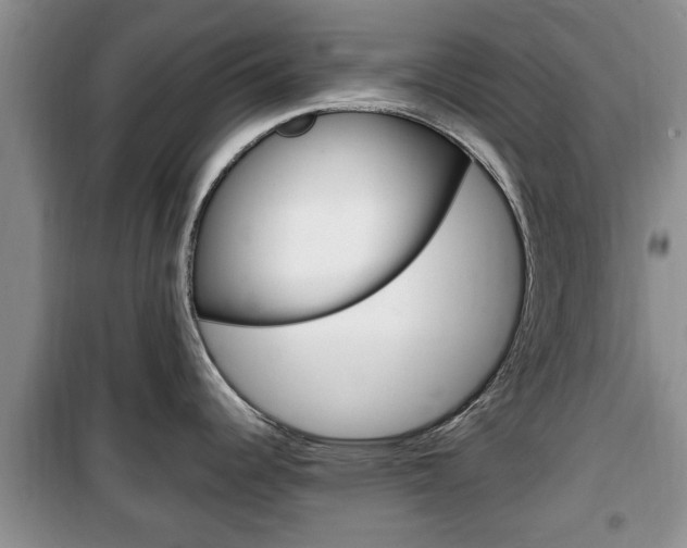 X0000100351344200806060751