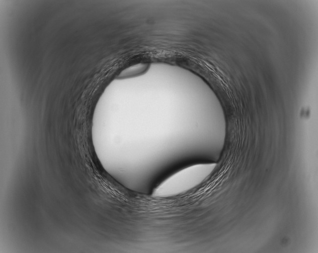 X0000100351345200806060751