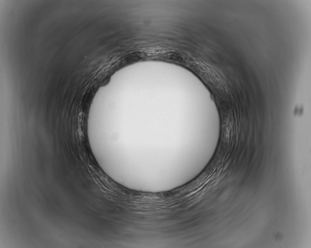 X0000100351346200806060751