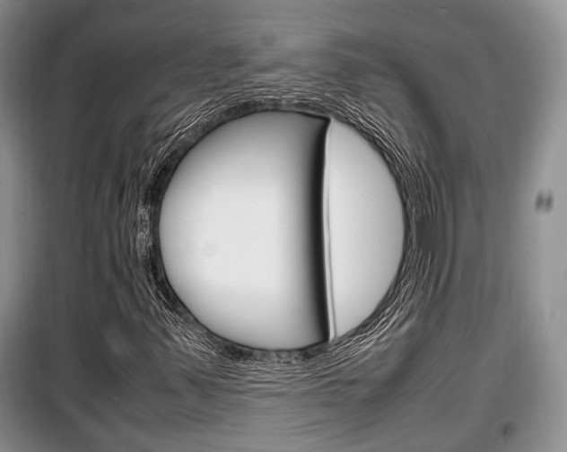 X0000100351347200806060751