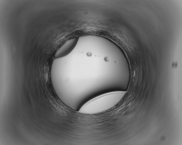 X0000100351348200806060751