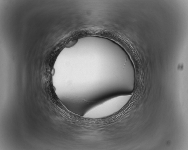 X0000100351349200806060751