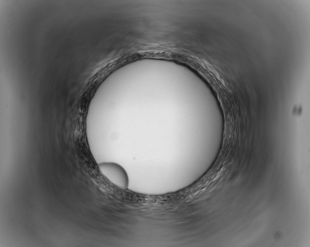 X0000100351350200806060751