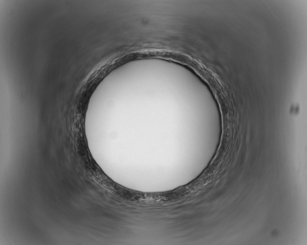 X0000100351351200806060751