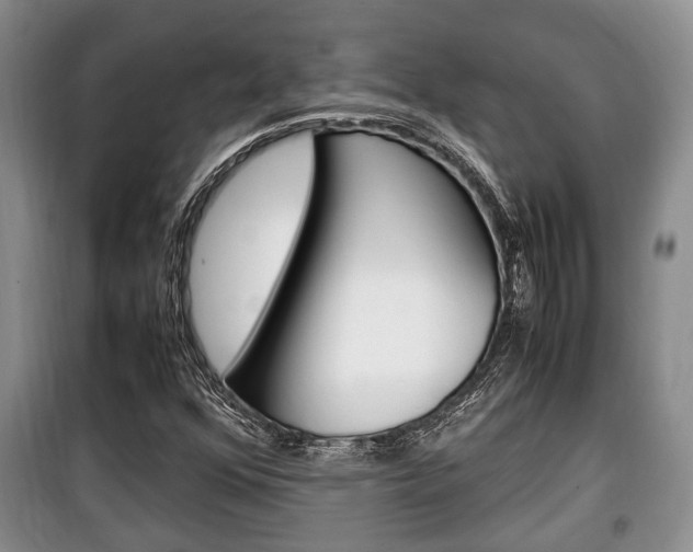 X0000100351352200806060751