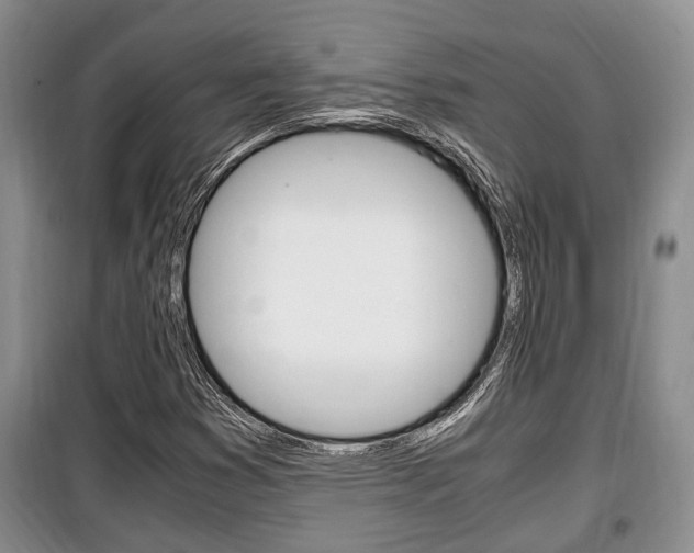 X0000100351353200806060751