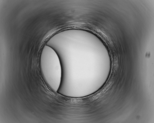 X0000100351354200806060751