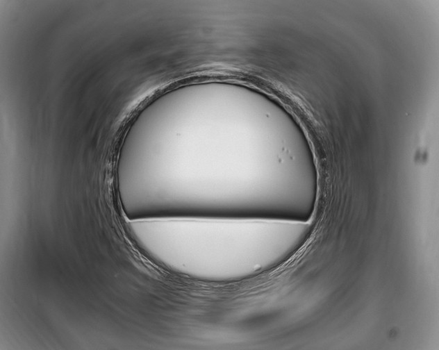 X0000100351355200806060750