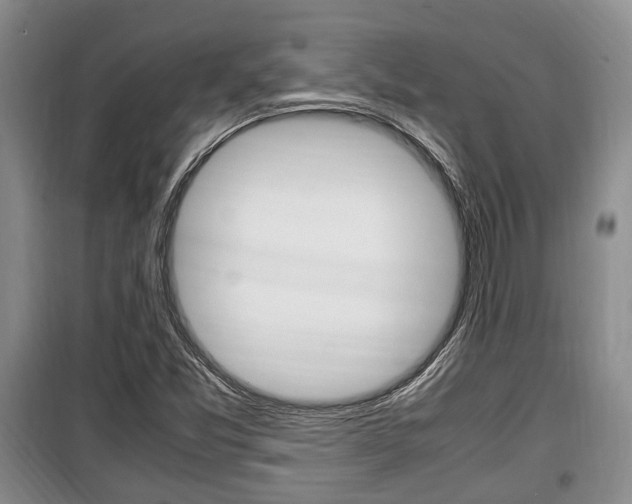 X0000100351357200806060750