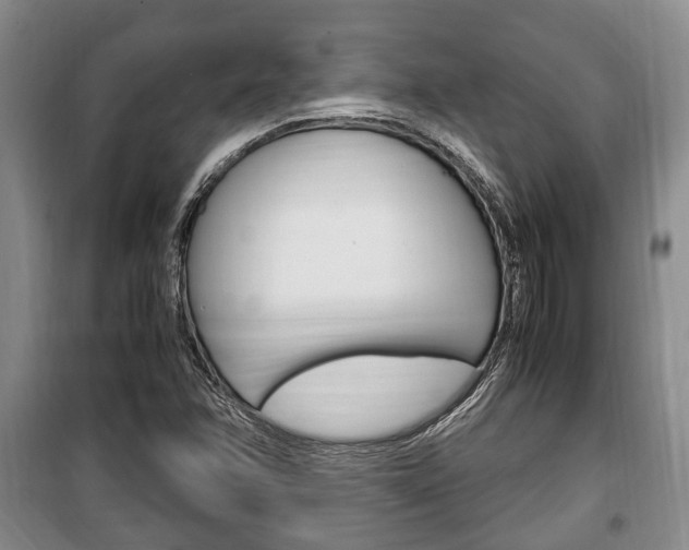 X0000100351358200806060750