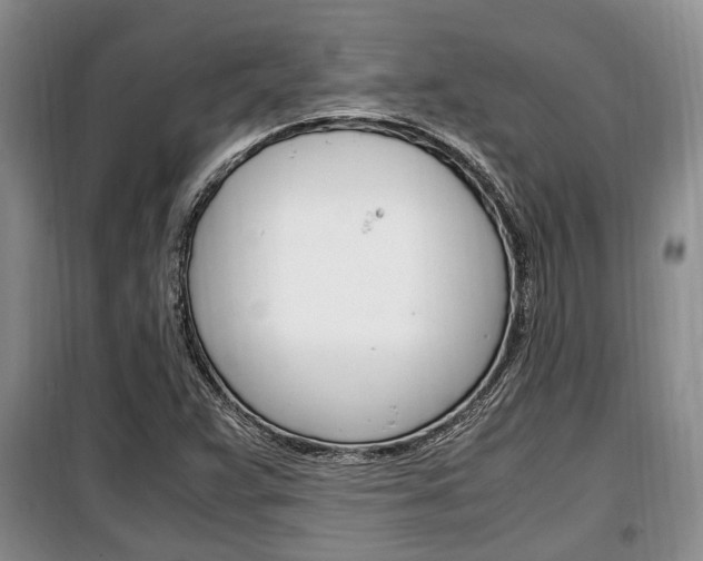 X0000100351359200806060750