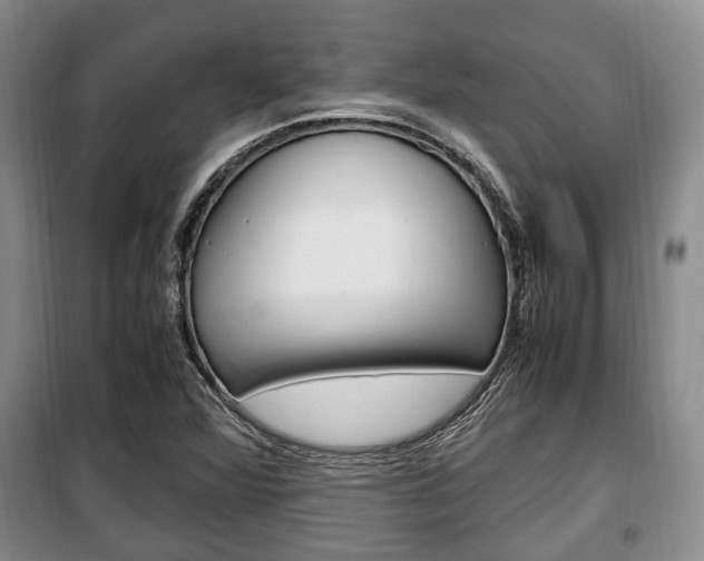 X0000100351360200806060750
