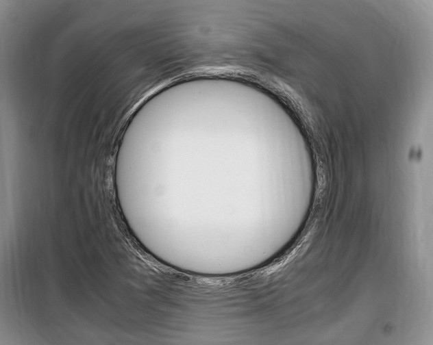 X0000100351361200806060750
