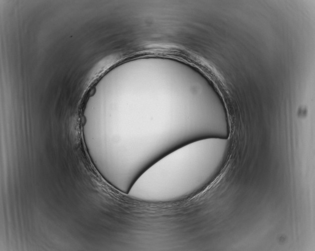 X0000100351362200806060750