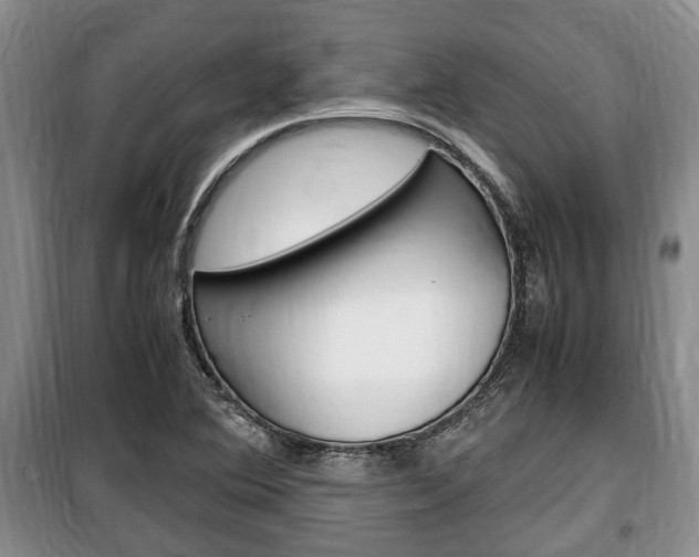 X0000100351364200806060750
