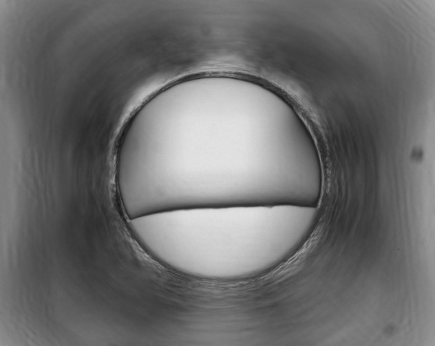 X0000100351366200806060750