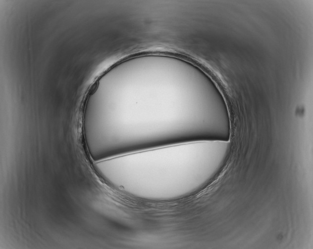 X0000100351367200806060750