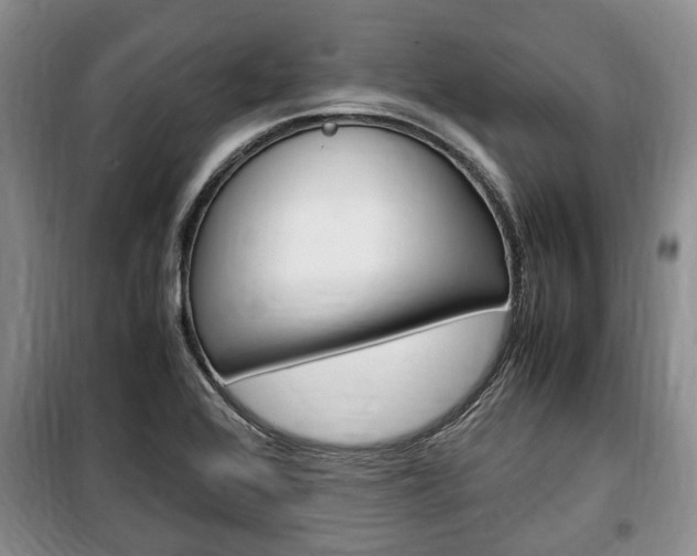X0000100351368200806060750