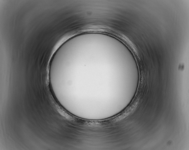 X0000100351370200806060750
