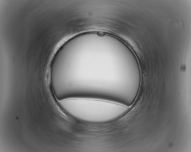X0000100351371200806060750