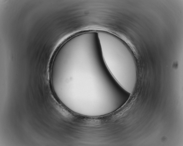 X0000100351372200806060750