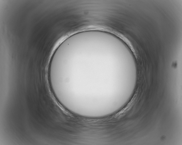 X0000100351373200806060750