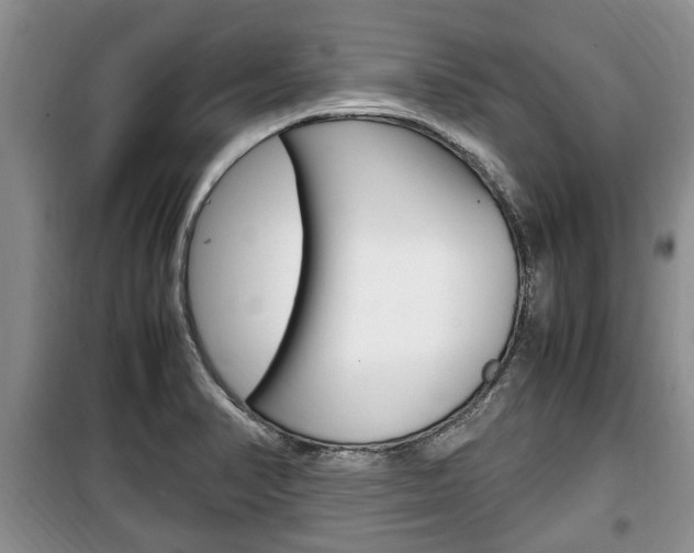 X0000100351374200806060750