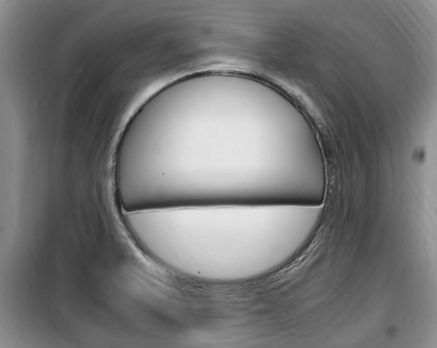X0000100351375200806060750