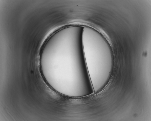 X0000100351376200806060750