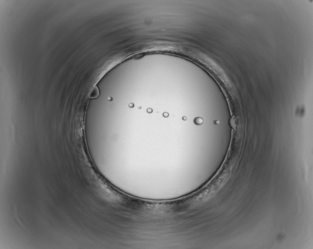 X0000100351377200806060750