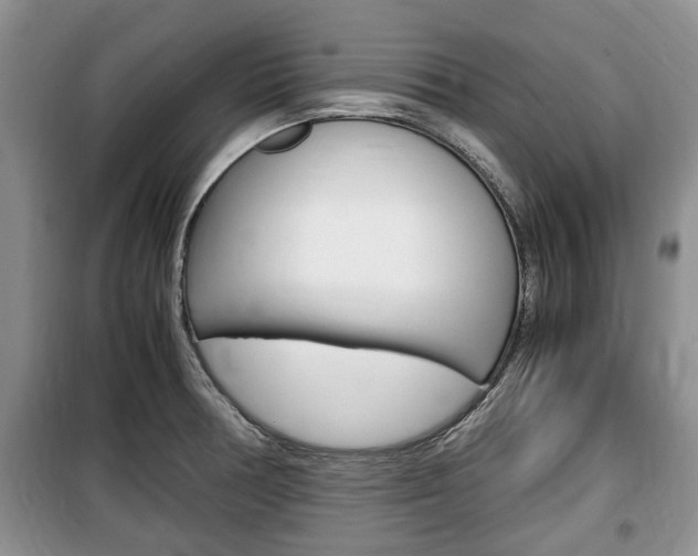 X0000100351378200806060750
