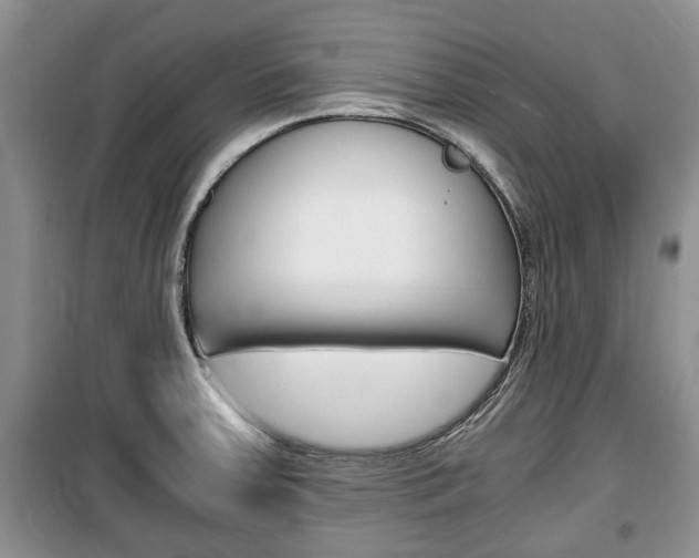 X0000100351379200806060750