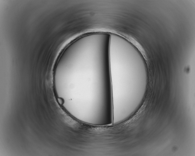 X0000100351380200806060750