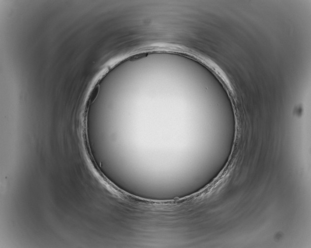 X0000100351381200806060750
