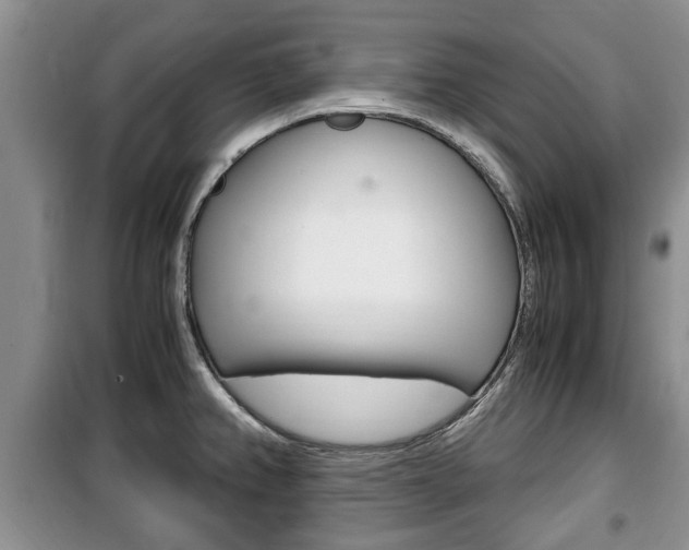 X0000100351382200806060750