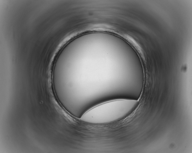 X0000100351384200806060750