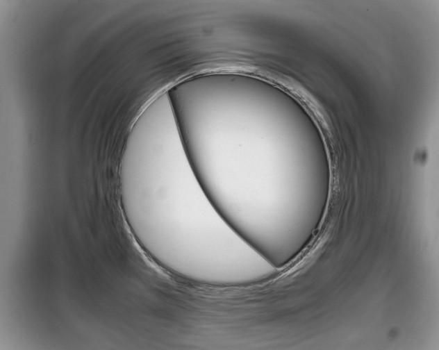 X0000100351385200806060750