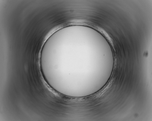 X0000100351386200806060750