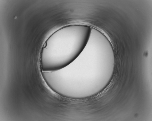 X0000100351387200806060750
