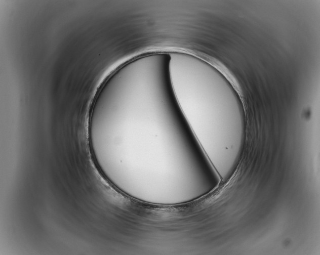 X0000100351388200806060750