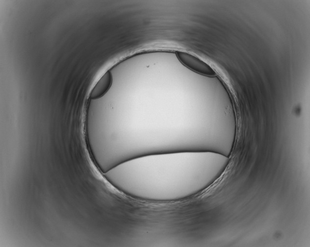 X0000100351390200806060750