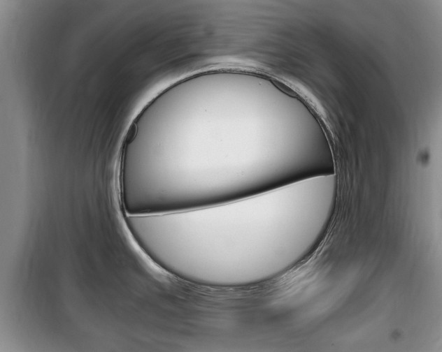 X0000100351391200806060750