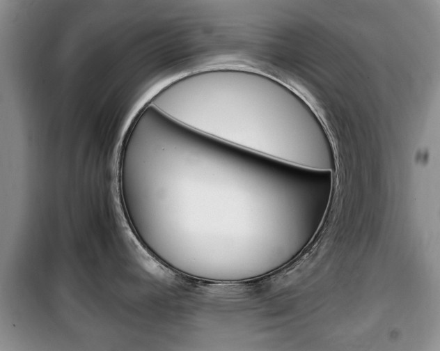 X0000100351392200806060750