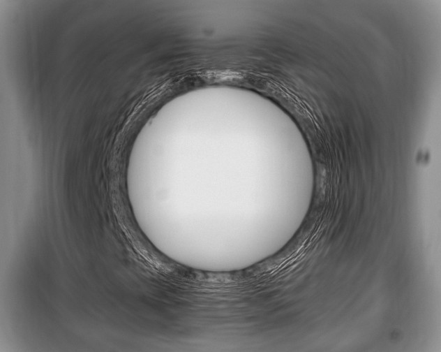 X0000100351393200806060749