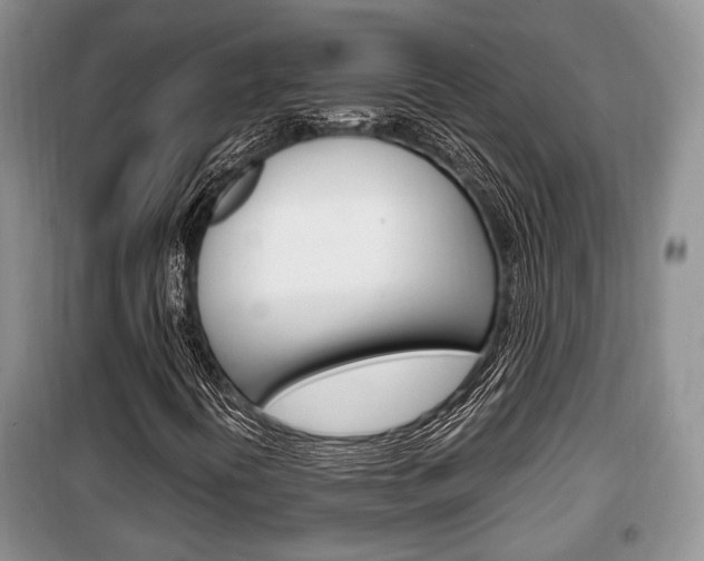 X0000100351394200806060749