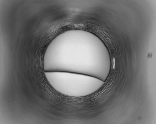 X0000100351395200806060749