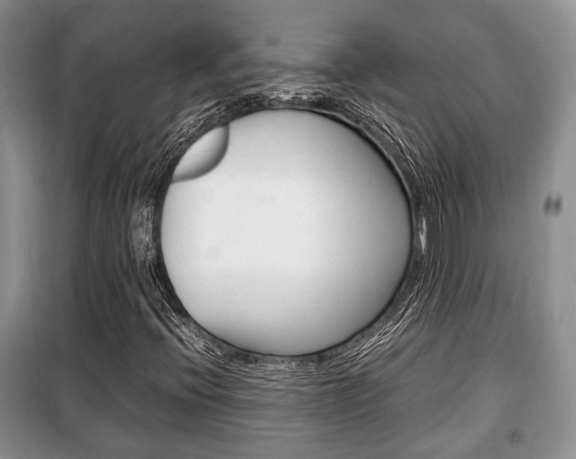X0000100351396200806060749