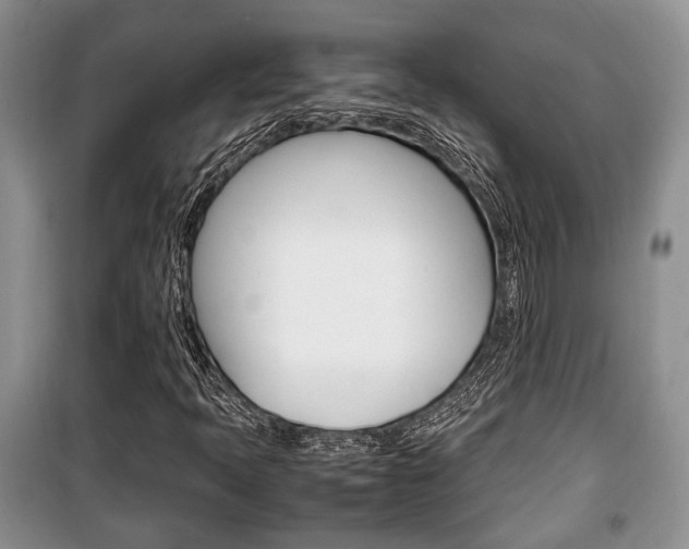 X0000100351397200806060749