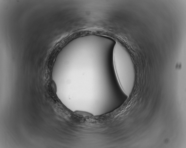 X0000100351398200806060749